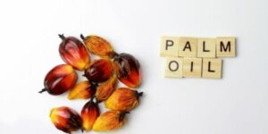 Training Audit Internal RSPO ISPO